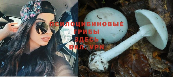 альфа пвп VHQ Белокуриха